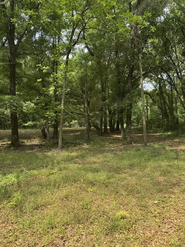 4544 N County Road 61, Hartford, AL 36344