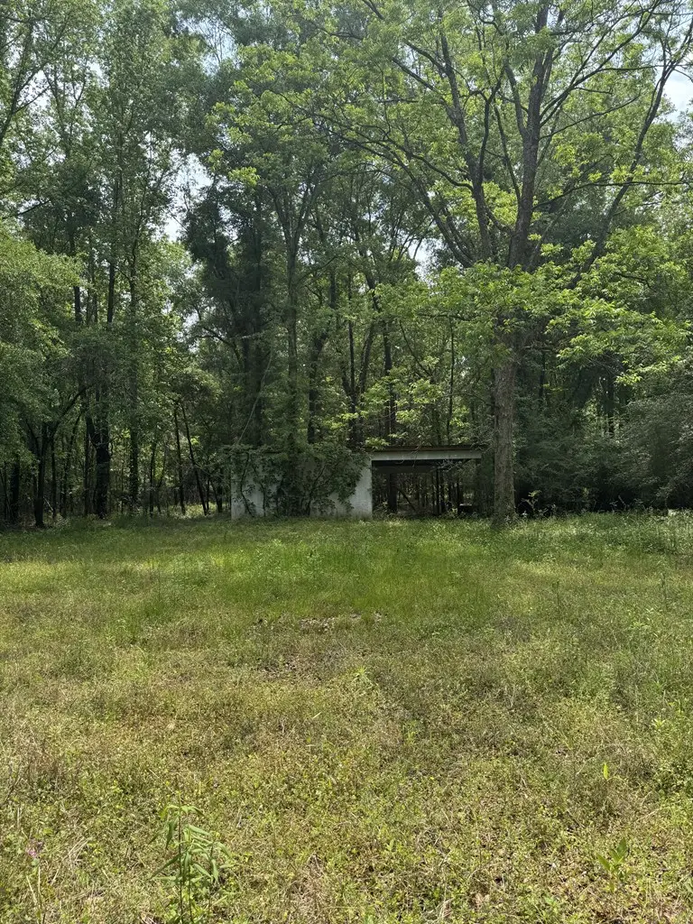4544 N County Road 61, Hartford, AL 36344 - #2
