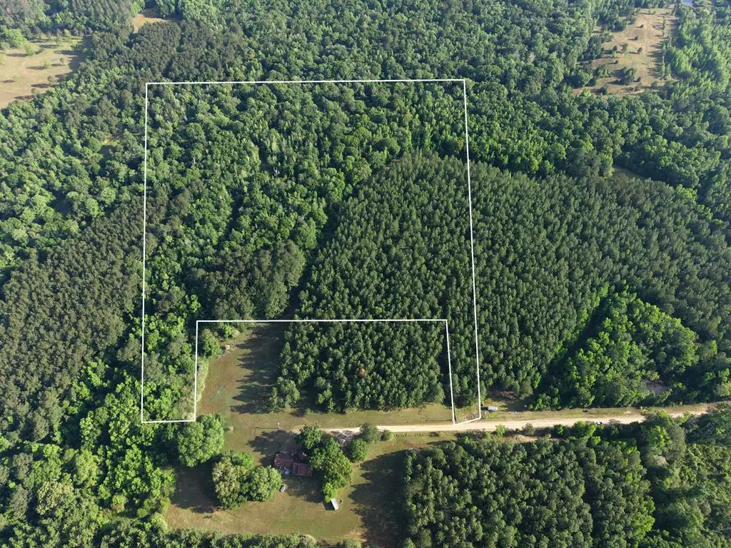 00 Case Rd, Slocomb, AL 36375 - #1