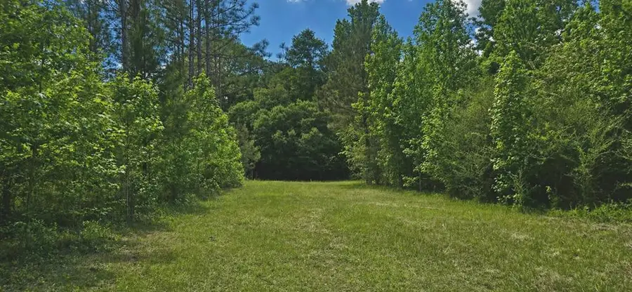 00 Case Rd, Slocomb, AL 36375 - #3