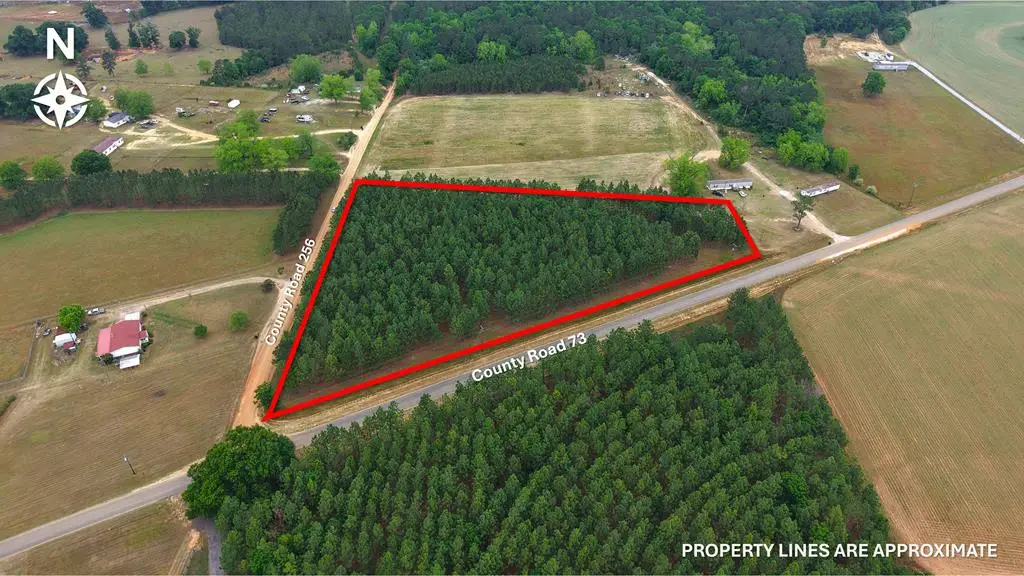 5 +/- Acres County Road 73, Headland, AL 36345 - #1