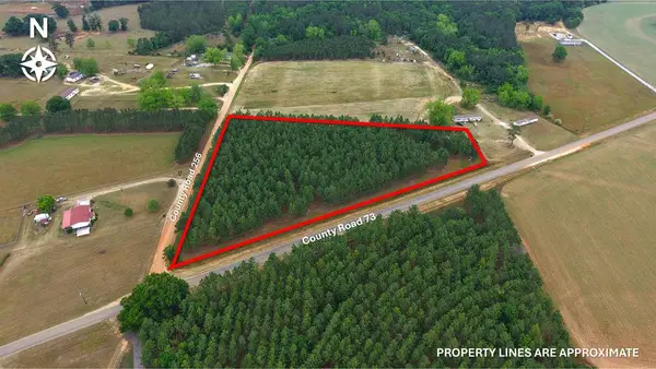5 +/- Acres County Road 73, Headland, AL 36345