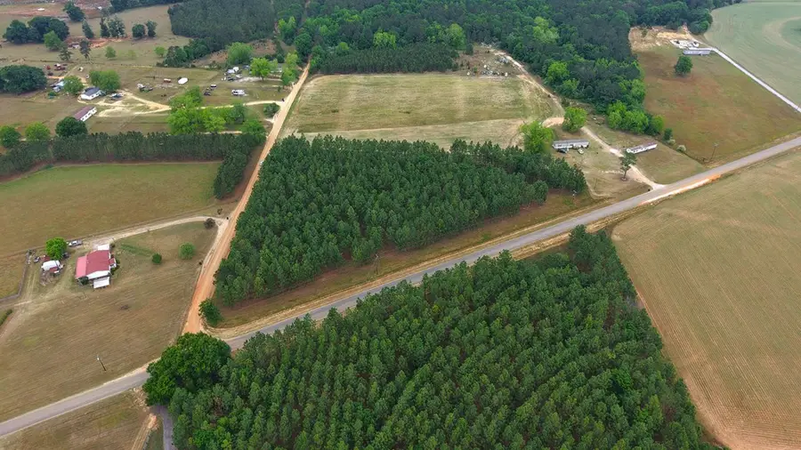 5 +/- Acres County Road 73, Headland, AL 36345 - #2