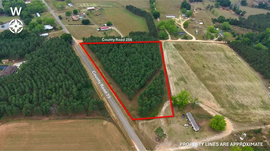 5 +/- Acres County Road 73, Headland, AL 36345 - #3