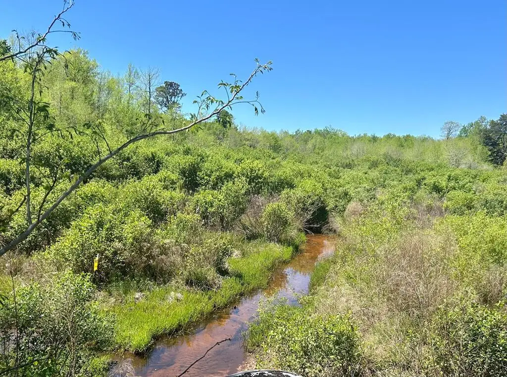 2500 Dean Church Rd, Ozark, AL 36360 - #1