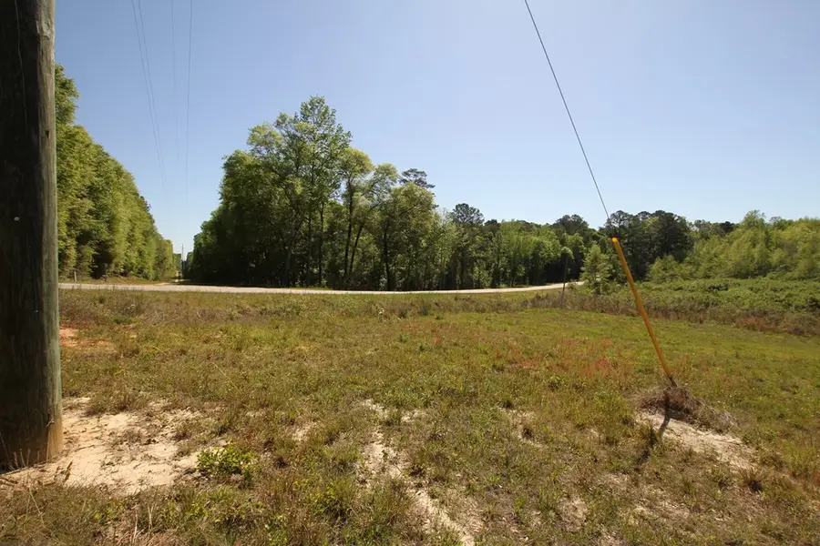 2500 Dean Church Rd, Ozark, AL 36360 - #2