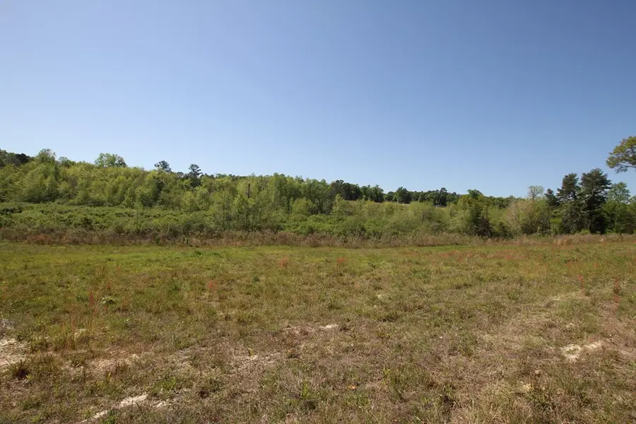 2500 Dean Church Rd, Ozark, AL 36360 - #3