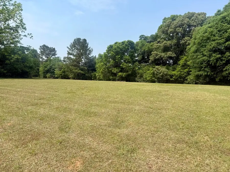 7 +/- Acres County Road 40, Chancellor, AL 36316 - #2