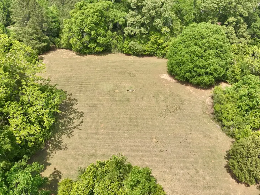 7 +/- Acres County Road 40, Chancellor, AL 36316 - #3