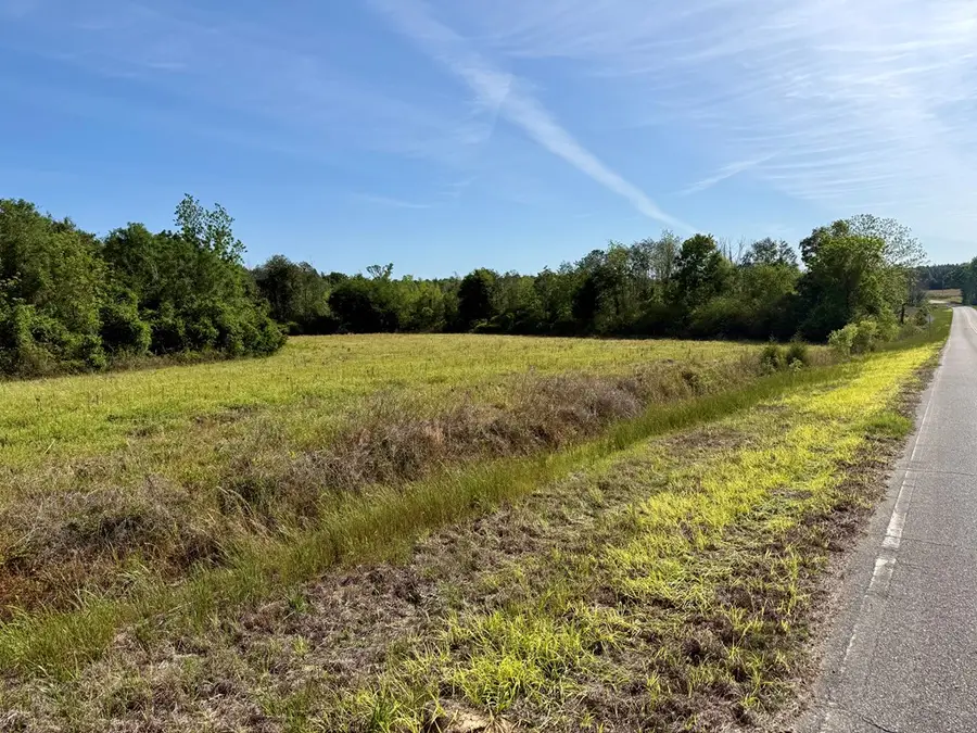 14.57 Acres Red Oak Road, Florala, AL 36442 - #3