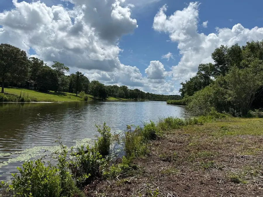 245 County Road 422, Abbeville, AL 36310 - #2