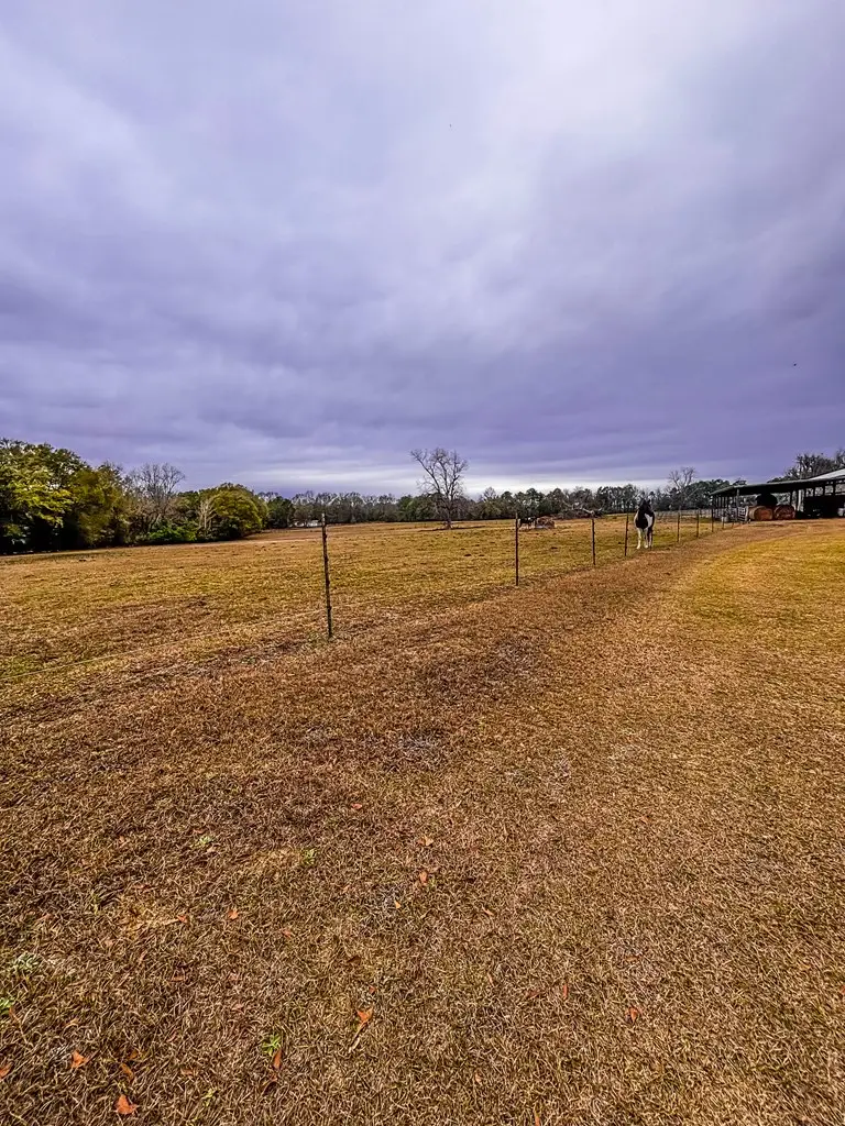 8971 State Highway 10, Shorterville, AL 36373 - #3