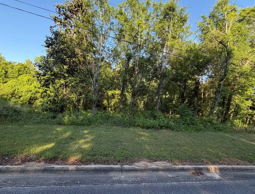 0 Old Mill Run, Dothan, AL 36303 - #1