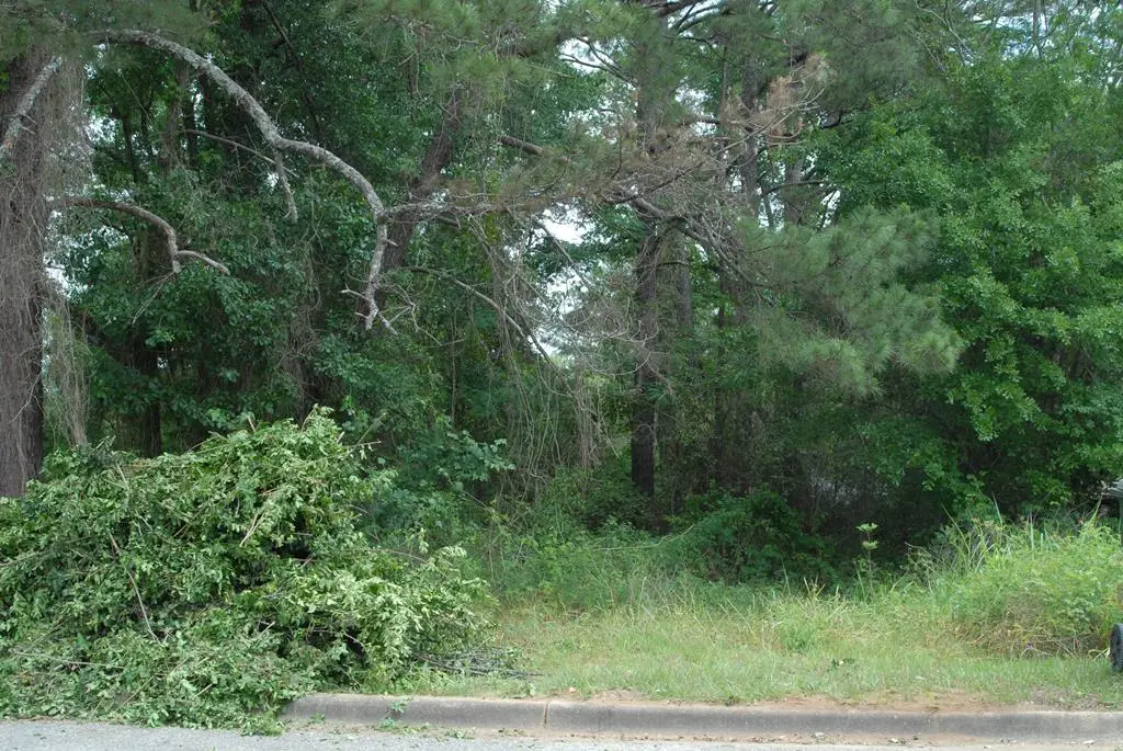 904 Lennox Ave, Dothan, AL 36301 - #1