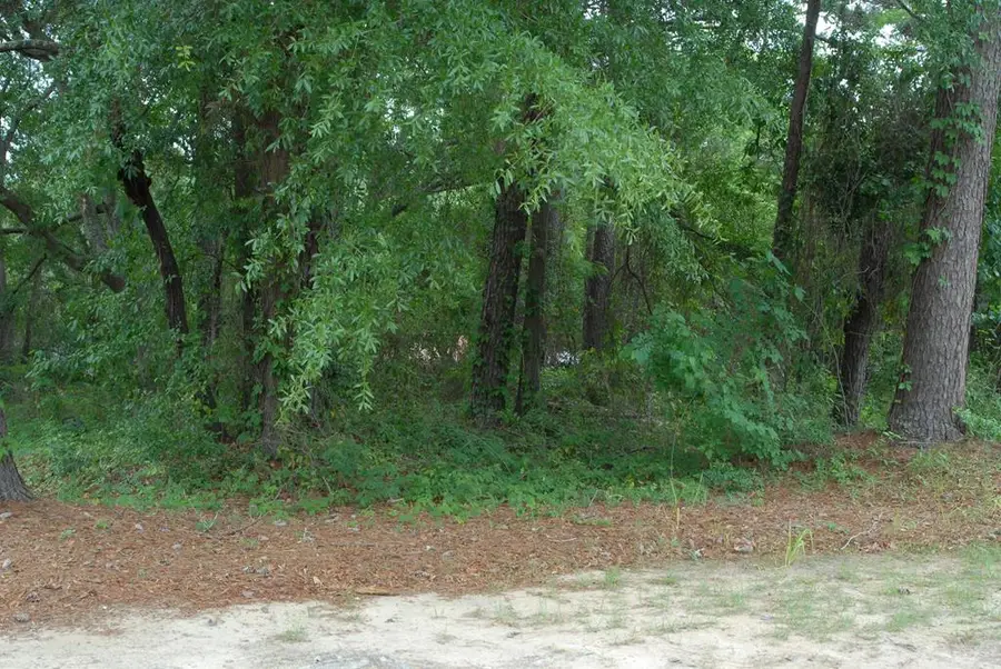 904 Lennox Ave, Dothan, AL 36301 - #2