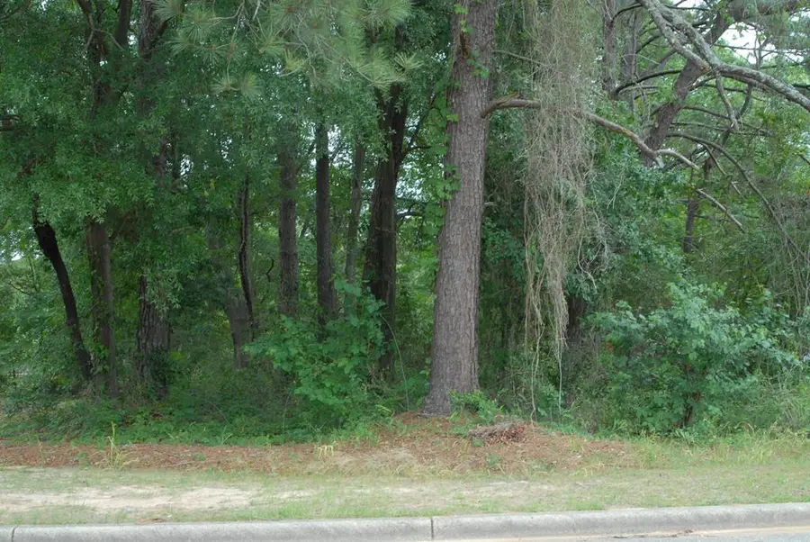 904 Lennox Ave, Dothan, AL 36301 - #3