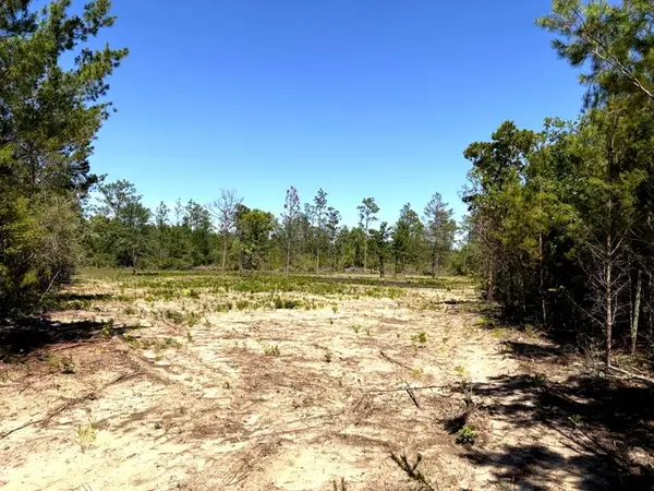 5 NW Cr 167, Fountain, FL 32438