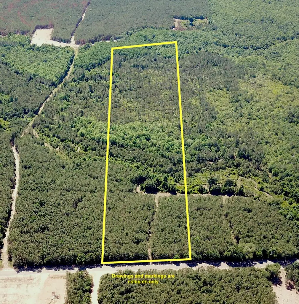 19.827 Acres Tract 10 Mt Zion Rd, Cottonwood, AL 36320 - #1