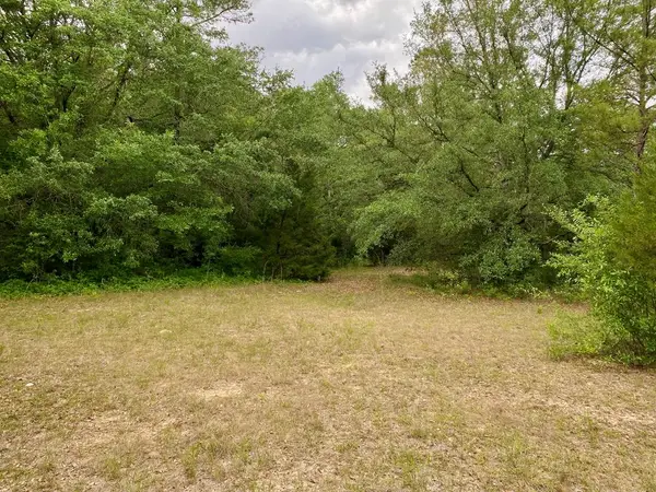 3+/- Acres Grove Rd, Hartford, AL 36344
