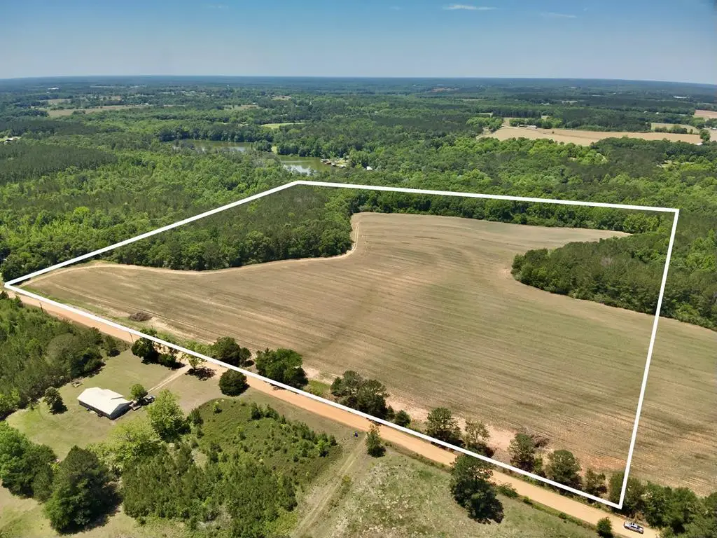 35 Acres County Road 734, Chancellor, AL 36316 - #1
