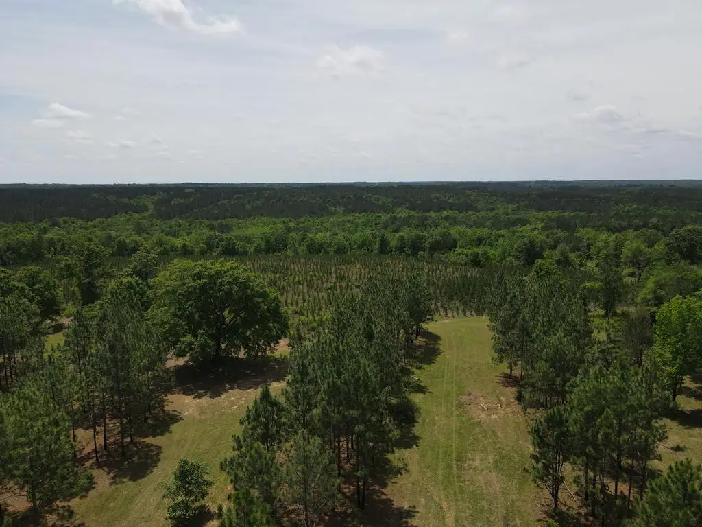 Address Withheld By Seller, Elba, AL 36323 - #1