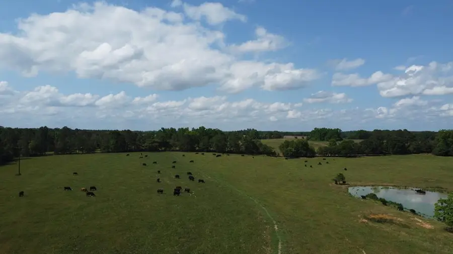 0 County Road 661, Samson, AL 36477 - #2