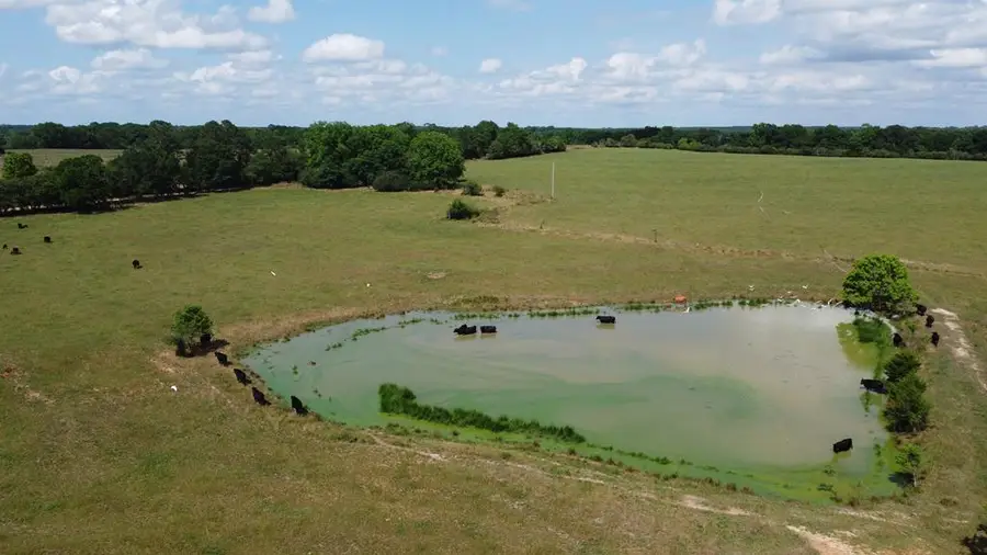 0 County Road 661, Samson, AL 36477 - #3