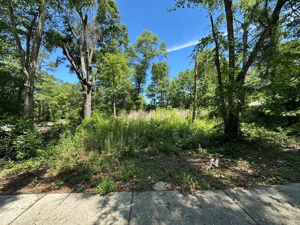 1301 Summit Street, Dothan, AL 36301 - #1