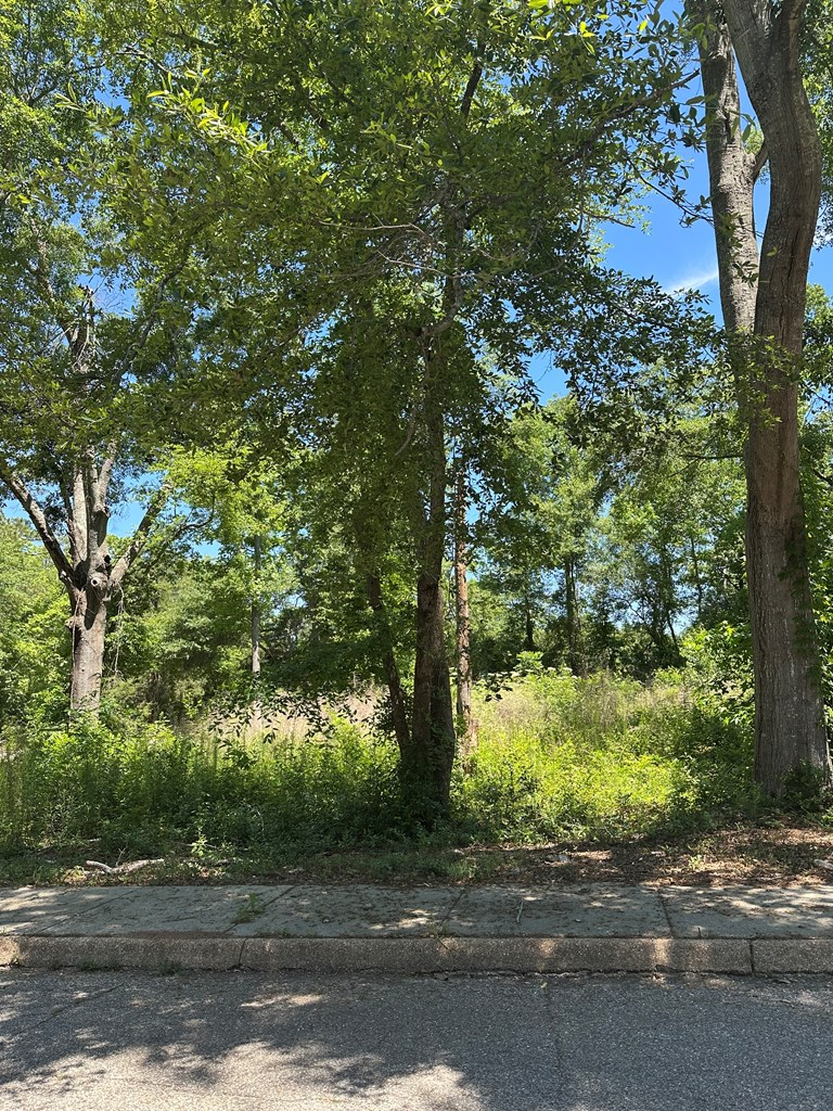 1301 Summit Street, Dothan, AL 36301 - #2