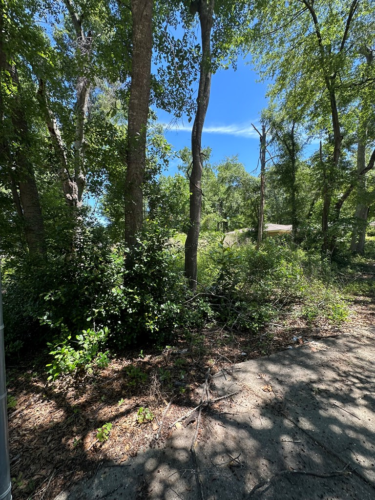 1301 Summit Street, Dothan, AL 36301 - #3