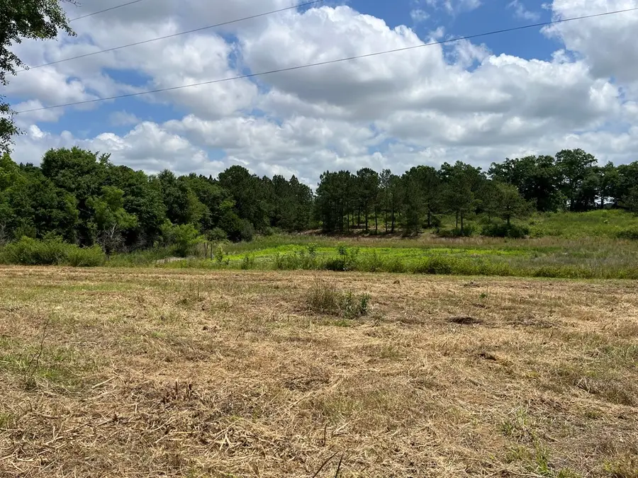 4369 County Road 73, Headland Newville, AL 36373 - #2