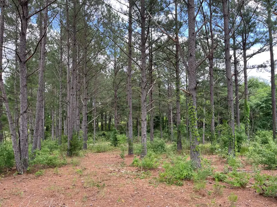 4369 County Road 73, Headland Newville, AL 36373 - #3