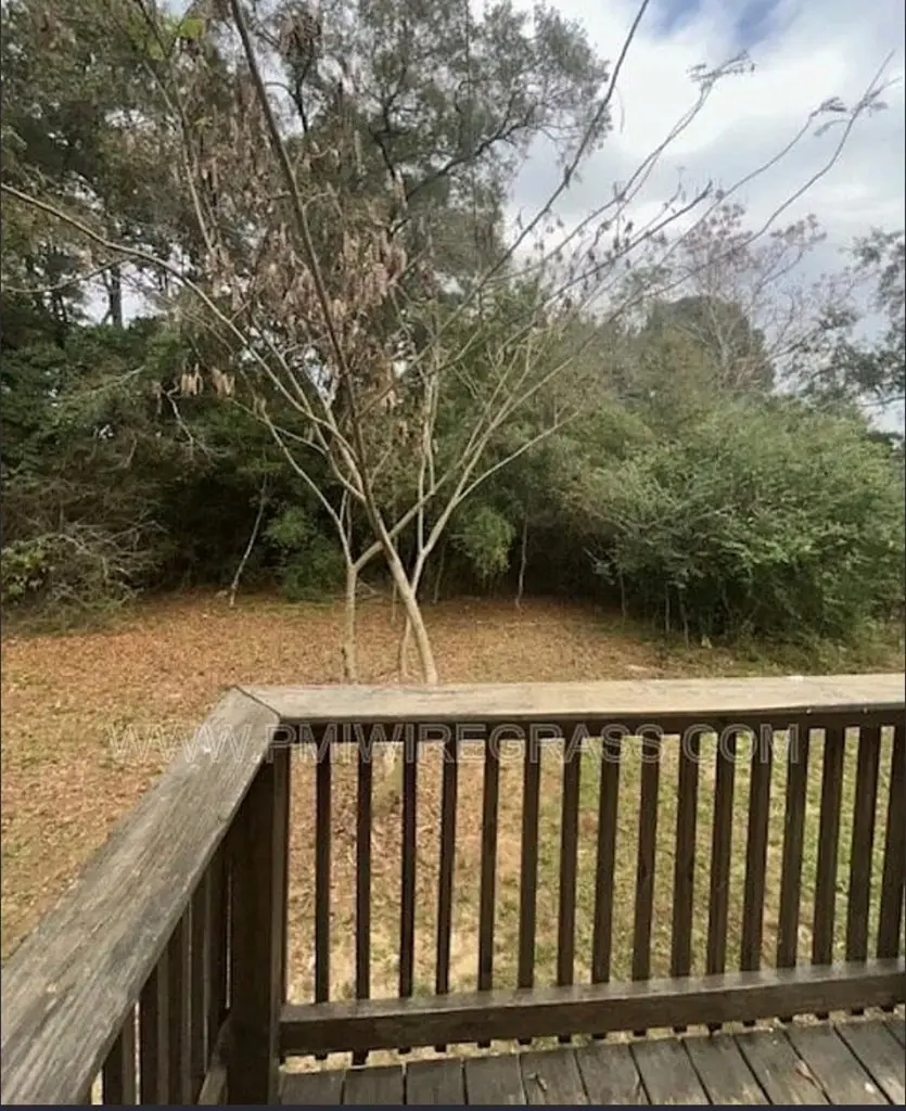 24 Old Mcray Mill Rd., Clio, AL 36017 - #2