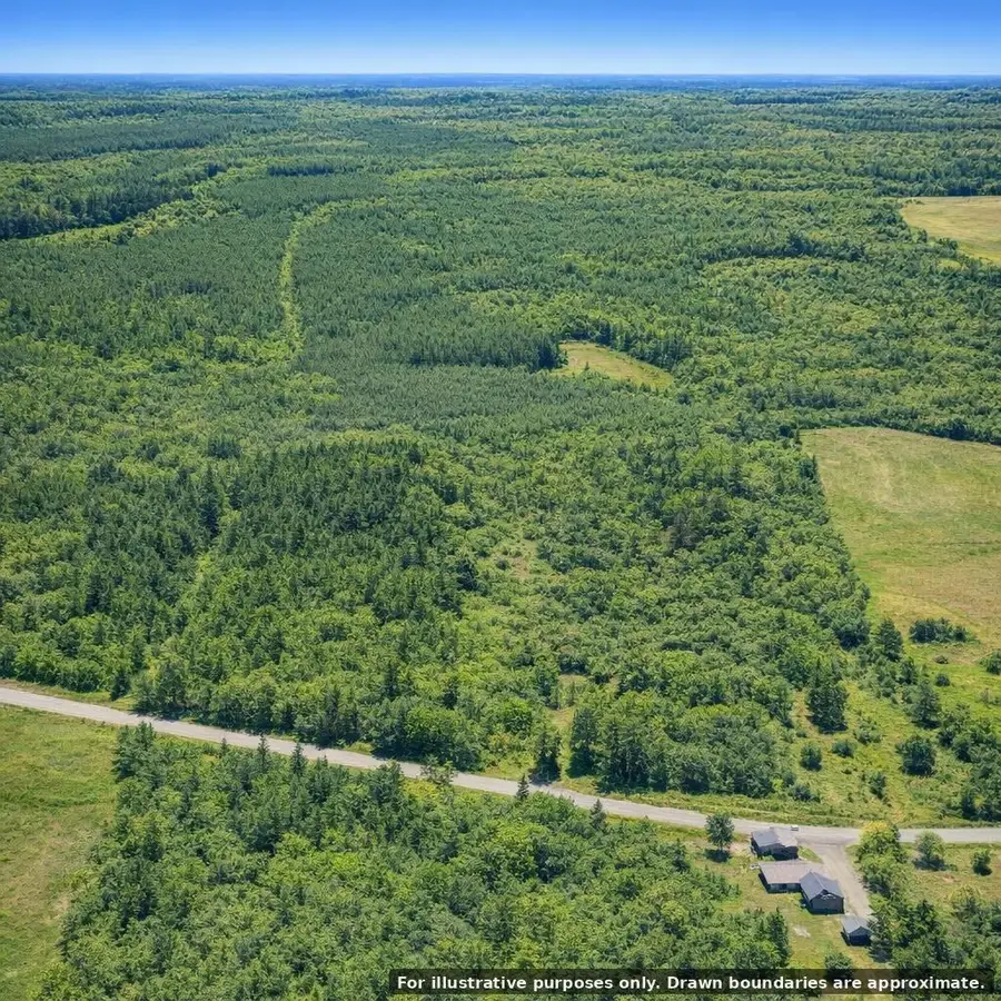 40.8 Acres Johnson Bridge Road, Ariton, AL 36311 - #2
