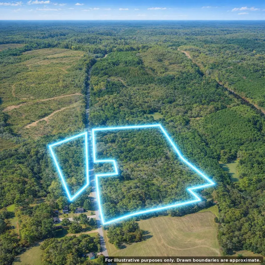 40.8 Acres Johnson Bridge Road, Ariton, AL 36311 - #3