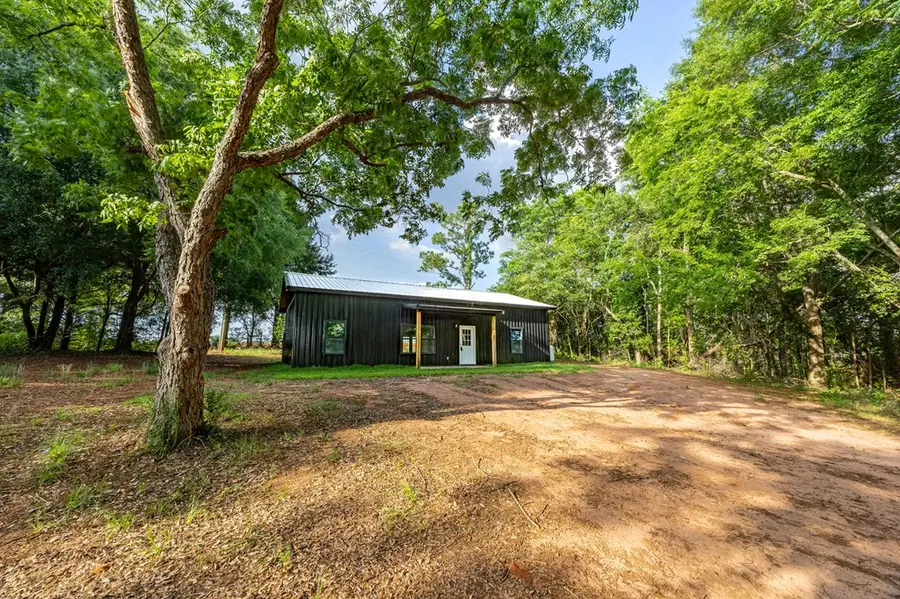 8622 Judge Logue Rd, Newton, AL 36352 - #3