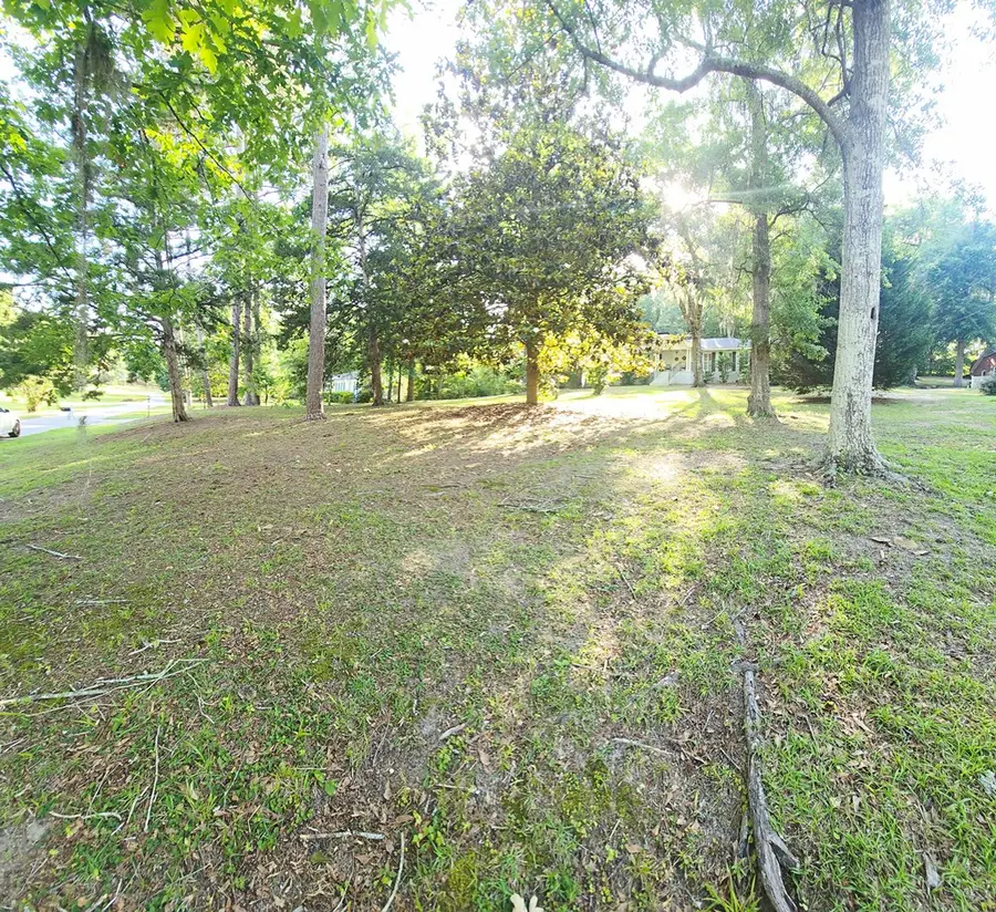 263 Squirrel Drive, Ozark, AL 36360 - #3