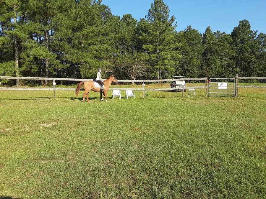 1221 D Hodge Rd, Cottonwood, AL 36320 - #2