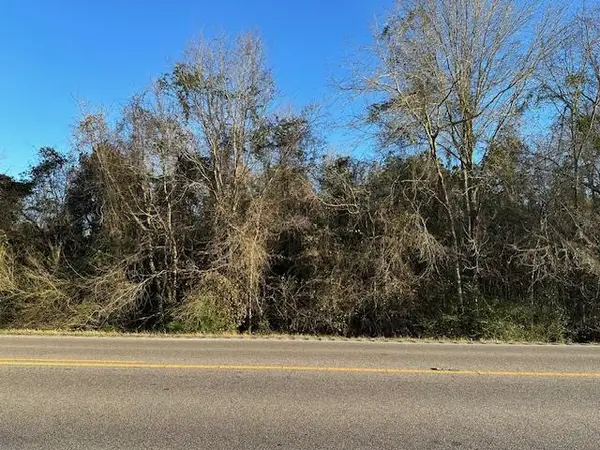 0 S State Highway 109, Lot 1, Dothan, AL 36301