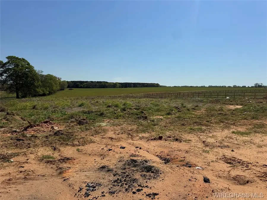 1498 County Road 723, Chancellor, AL 36316 - #2