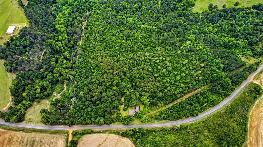 4232 County Road 71, Shorterville, AL 36373 - #3