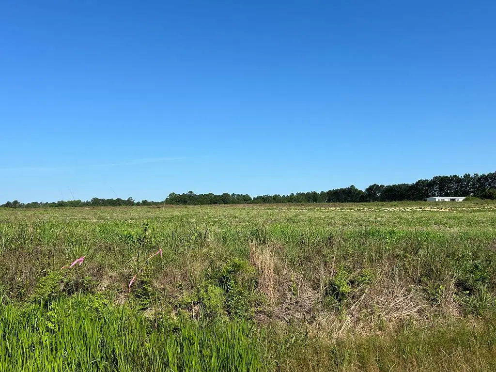 40.522+-ac Cecil Varnum Rd, Dothan, AL 36301 - #1