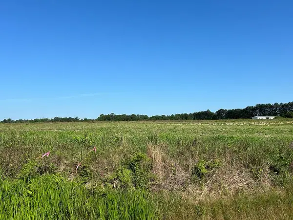 40.522+-ac Cecil Varnum Rd, Dothan, AL 36301