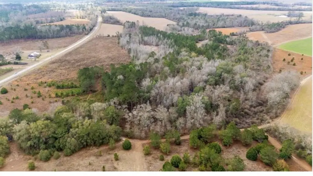 112 County Road, Columbia, AL 36319 - #1