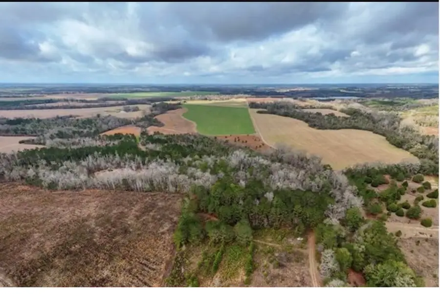 112 County Road, Columbia, AL 36319 - #2