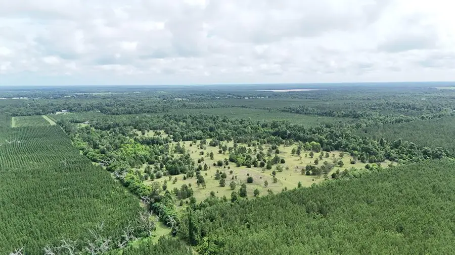 Vacant Henry Way, Greenwood, FL 32443 - #2