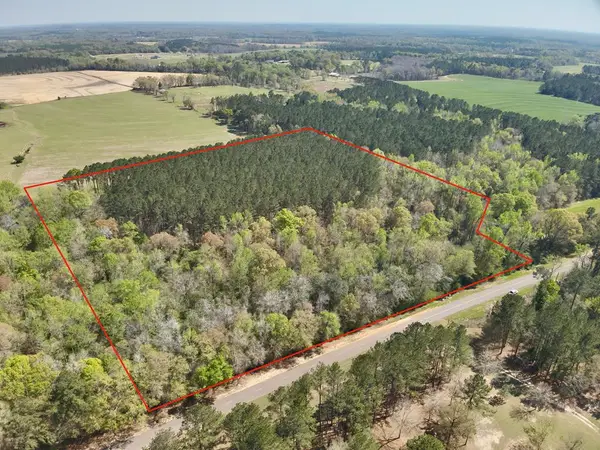 Lot 2 Saint Mary Rd., Cottonwood, AL 36320