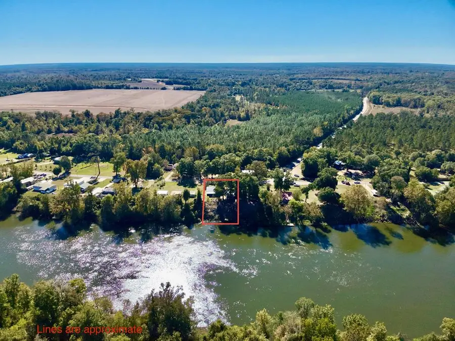 318 Jowers Road, Gordon, AL 36343 - #3