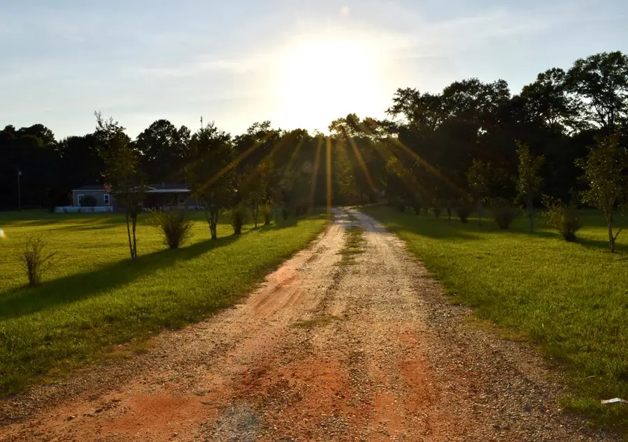 7252 S County Rd 49, Slocomb, AL 36375 - #3