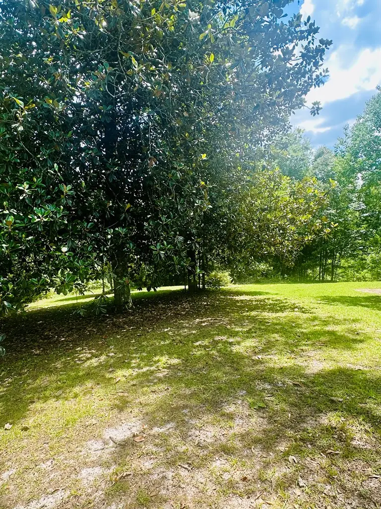215 Morgan Ln, Ozark, AL 36360 - #3